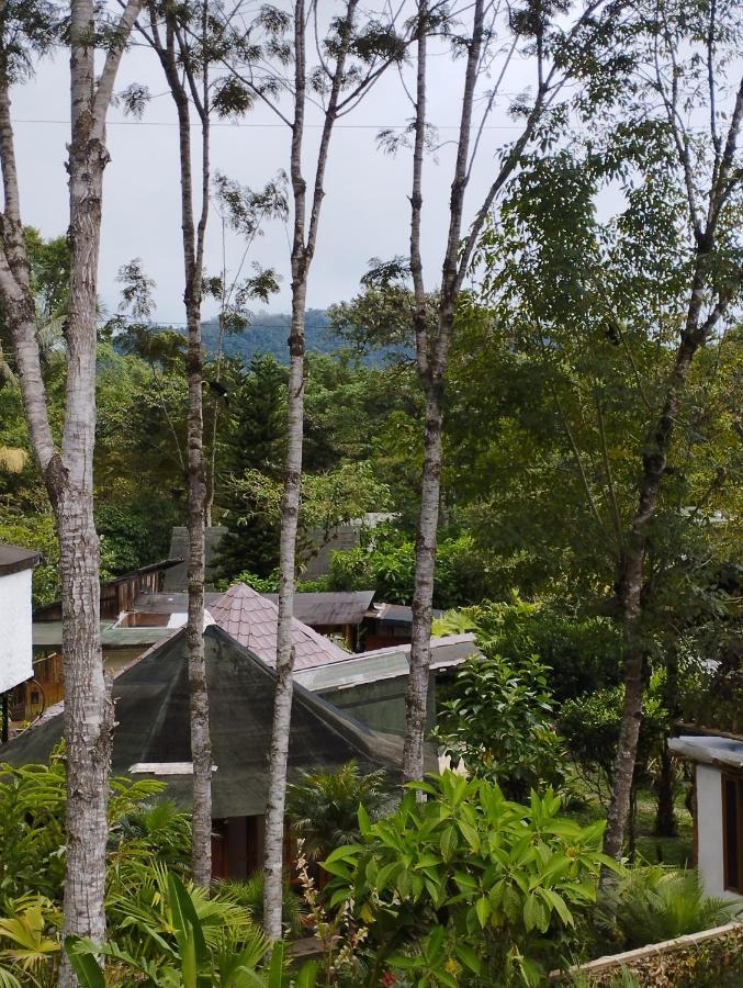Saguamby Mindo Lodge エクステリア 写真
